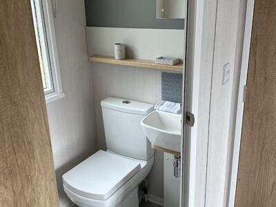Picture 8